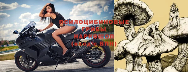 jwh Алзамай