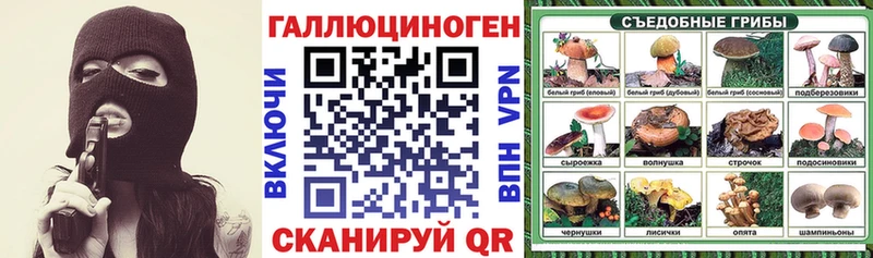 Галлюциногенные грибы Psilocybine cubensis  Ишим 