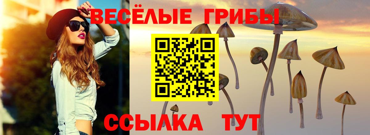 Ишим  Галлюциногенные грибы Psilocybine cubensis  Галлюциногенные грибы мухоморы  Вход с VPN 